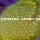 Skype登录问题全解析，常见故障与一键解决