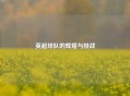 英超球队的辉煌与挑战