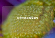 马拉松跑全程是多少