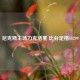 尼克斯主场力克活塞 比分定格11299