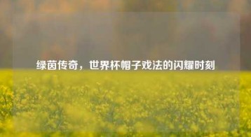 绿茵传奇，世界杯帽子戏法的闪耀时刻