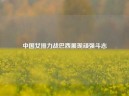 中国女排力战巴西展现顽强斗志
