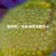 墨西哥：北美洲的体育热土