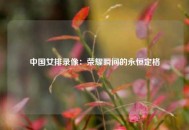 中国女排录像：荣耀瞬间的永恒定格