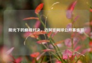 阳光下的巅峰对决，迈阿密网球公开赛盛宴