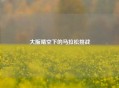 大阪晴空下的马拉松挑战