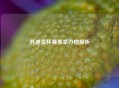 苏迪曼杯赛事举办地探析
