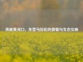 奔跑黄河口,东营马拉松的激情与生态交响