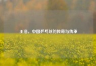 王浩,中国乒乓球的传奇与传承 王浩,中国乒乓球的传奇与传承