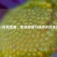 NBA67体育直播：篮球激情与技术的完美融合