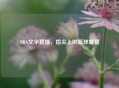 NBA文字直播，指尖上的篮球盛宴
