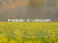 乒乓球拍壁纸：方寸之间的运动美学