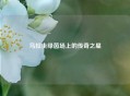 乌拉圭绿茵场上的传奇之星