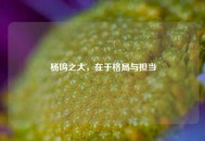 杨鸣之大，在于格局与担当