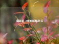 翻译官19楼的篮球风云