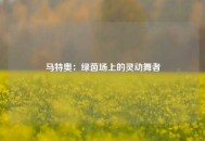 马特奥：绿茵场上的灵动舞者