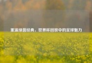 重温绿茵经典，世界杯回放中的足球魅力