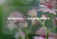 刘诗雯的泪水：一场凌晨的告别与坚守