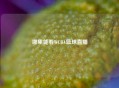 哪里能看WCBA篮球直播