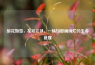 梨花如雪，花期如梦，一场短暂而绚烂的生命盛宴