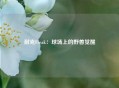 耐克Freak：球场上的野兽觉醒