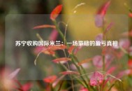 苏宁收购国际米兰：一场豪赌的盈亏真相