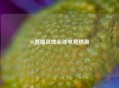 S8直播点燃全球电竞热潮