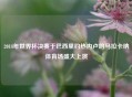 2014年世界杯决赛于巴西里约热内卢的马拉卡纳体育场盛大上演