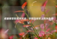 成都谢菲联假球风波：中国足球史上的灰色印记
