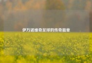 伊万诺维奇足球的传奇篇章