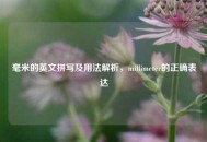 毫米的英文拼写及用法解析，millimeter的正确表达