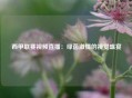 西甲联赛视频直播：绿茵激情的视觉盛宴