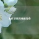 五百足球的绿茵传奇