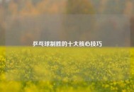 乒乓球制胜的十大核心技巧