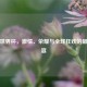 足球世界杯，激情、荣耀与全球狂欢的巅峰盛宴