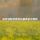 林丹羽联世界排名最高位次探析