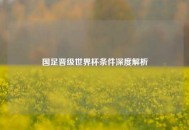 国足晋级世界杯条件深度解析