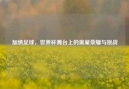 加纳足球，世界杯舞台上的黑星荣耀与挑战