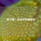  敖飞帆：泳池中的破浪者