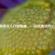 WPS表格从入门到精通，一站式高效办公指南