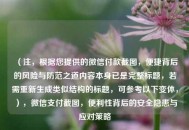 （注，根据您提供的微信付款截图，便捷背后的风险与防范之道内容本身已是完整标题，若需重新生成类似结构的标题，可参考以下变体，），微信支付截图，便利性背后的安全隐患与应对策略