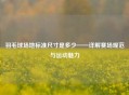 羽毛球场地标准尺寸是多少——详解赛场规范与运动魅力