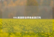 WWE美国职业摔角是真打吗