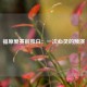 福原爱赛前独白：一次心灵的预演
