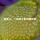 虞美人，一粒种子的诗意绽放