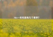 NBA一年究竟有几个赛季？