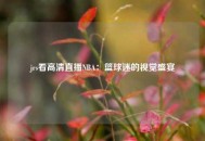 jrs看高清直播NBA：篮球迷的视觉盛宴