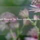Echoed Whispers: The Power of Unforgettable Words