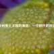 金州勇士王朝的黄昏：一个时代的终结
