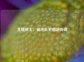 北境称王，猛龙队史首冠传奇